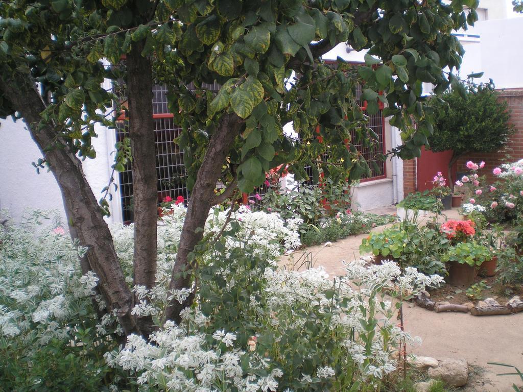 فندق أوسورنوفي  Tierra De Campos المظهر الخارجي الصورة